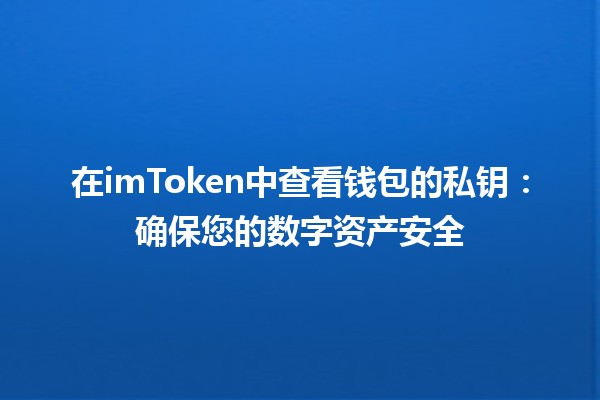 在imToken中查看钱包的私钥🔑：确保您的数字资产安全